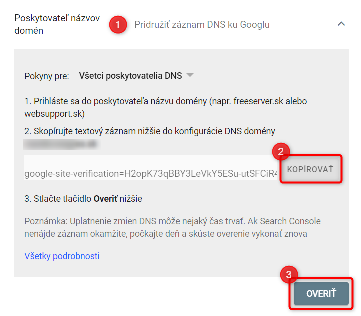 DNS verification Google Search Console